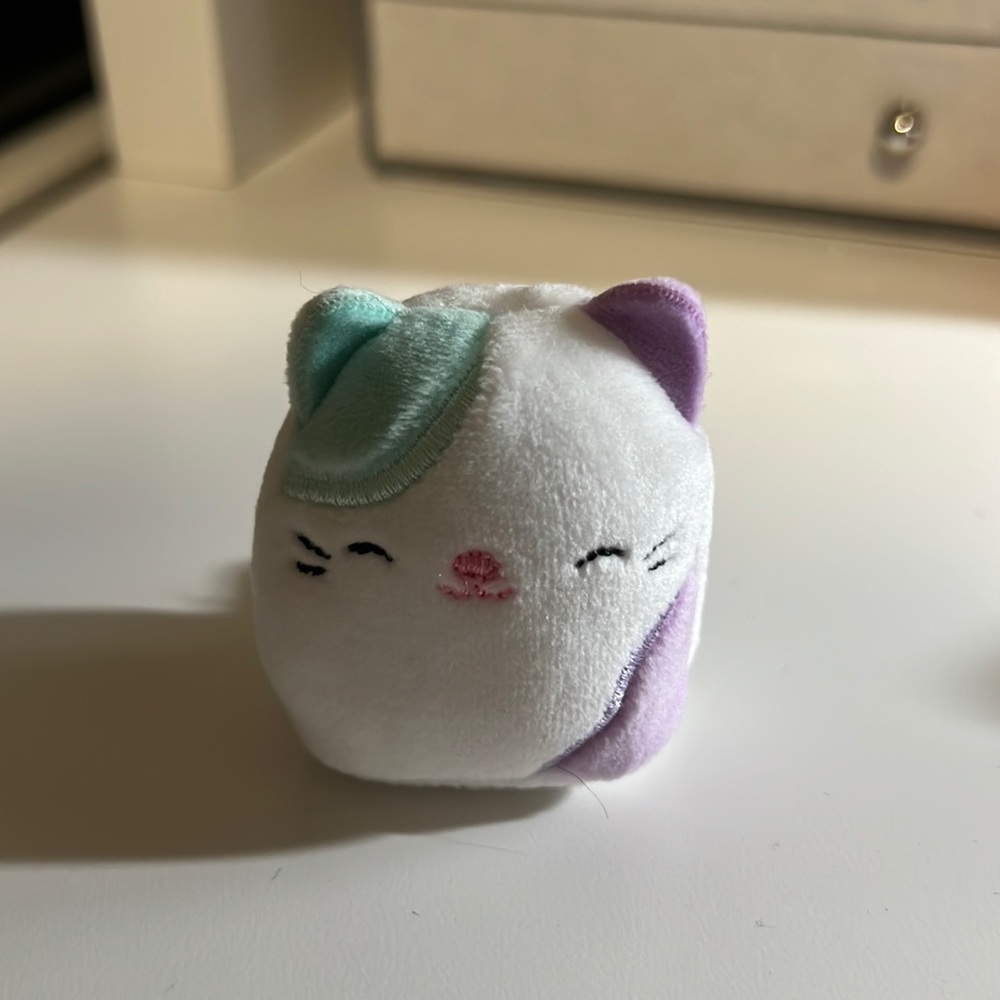 Cat squishville